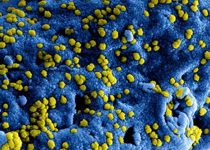 Annulering verschillende trainingen en examens